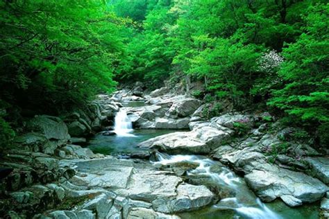 夢見溪流|夢見溪流，夢到溪流是什麽意思？